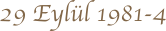 29-4