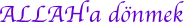 d�nmek