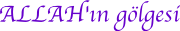g�lgesi
