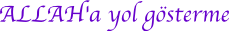 yol g�stermek