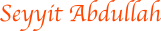 Seyyit Abdullah